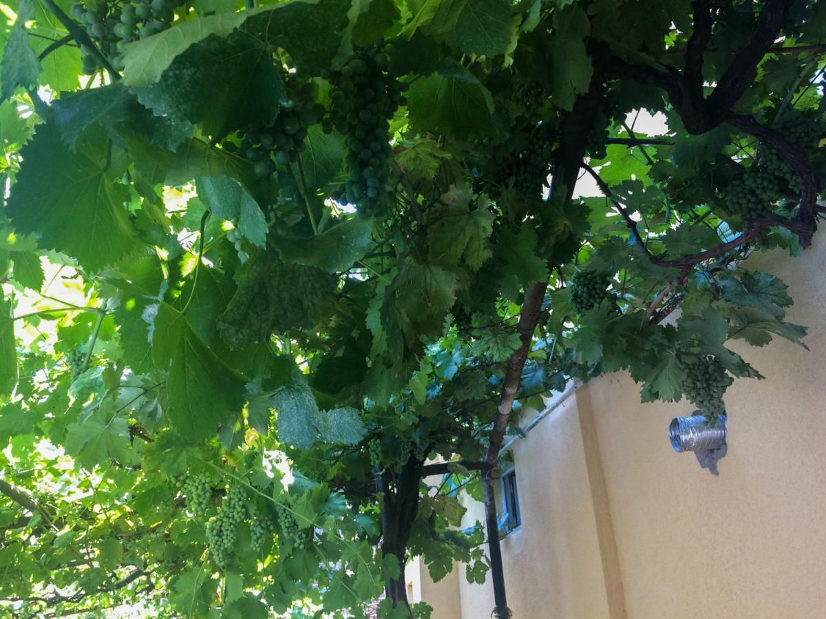 Guest House Gelit Мцхета Екстер'єр фото